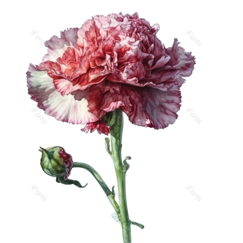 母亲节背景图片,母亲节素材元素,矢量元素PNG,免抠素材
